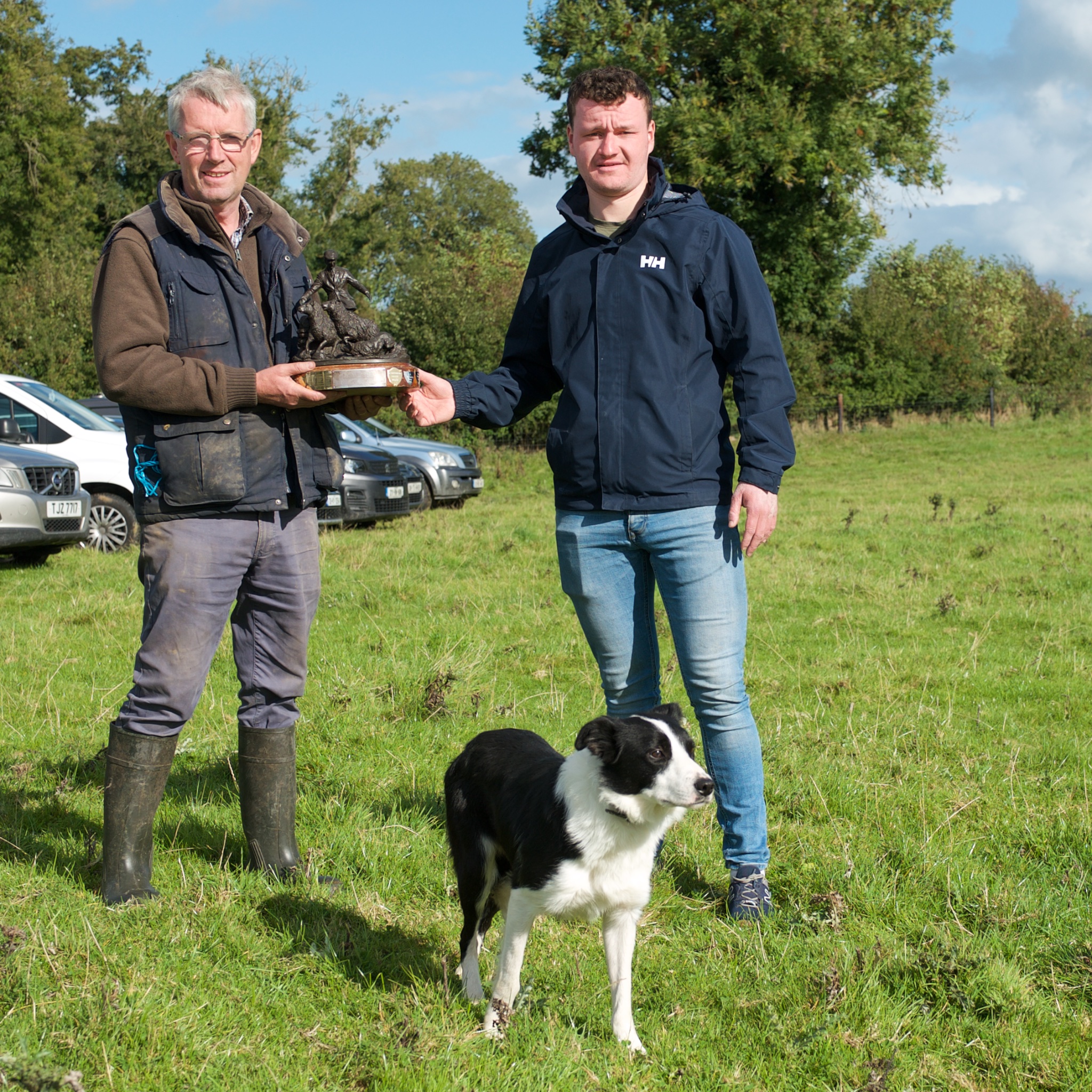 HOME North Of Ireland Sheepdog Society